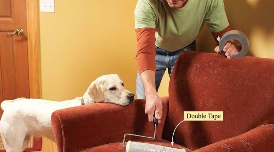 dog hair