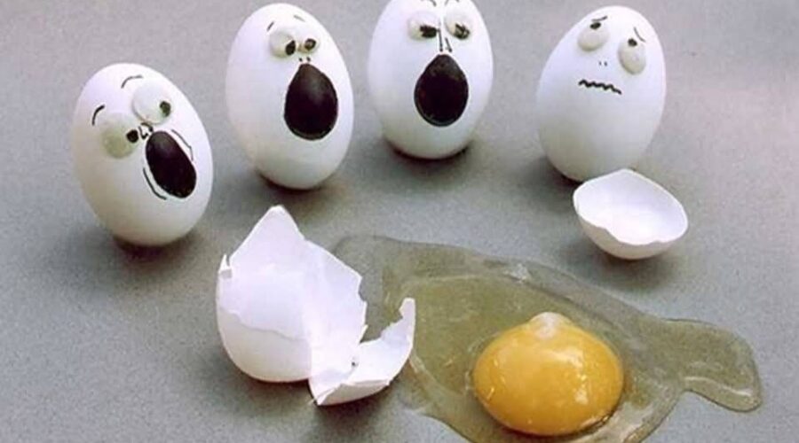 egg
