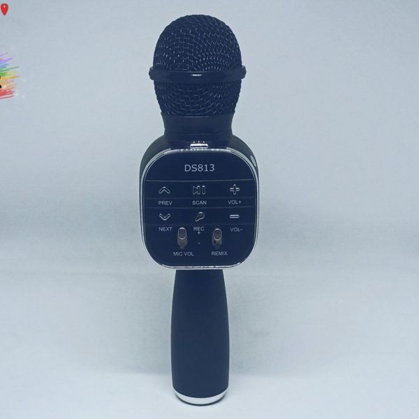 Wireless Microphone HiFi Speaker